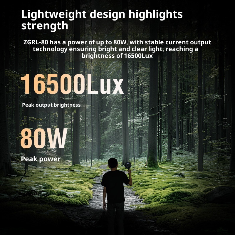 ZGRL80 80W COB LED Video Light - đánh giá và giá Outdoor Lighting In Photography